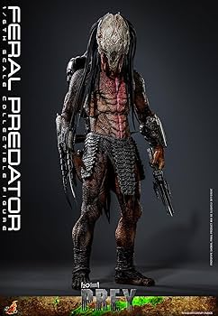 713eAfgs+qL._AC_UF350,